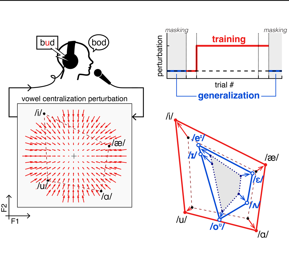 Sensorimotor Adaptation to a Nonuniform Formant Perturbation Generalizes to Untrained Vowels